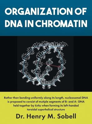 Organization of DNA in Chromatin