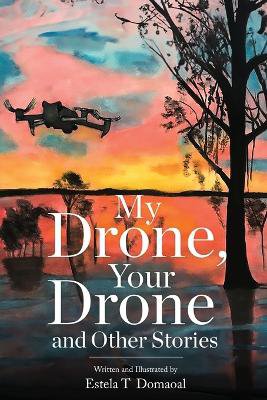 My Drone, Your Drone and Other Stories