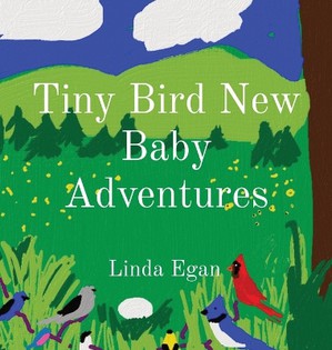 Tiny Bird New Baby Adventures