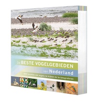 De beste vogelgebieden van Nederland 